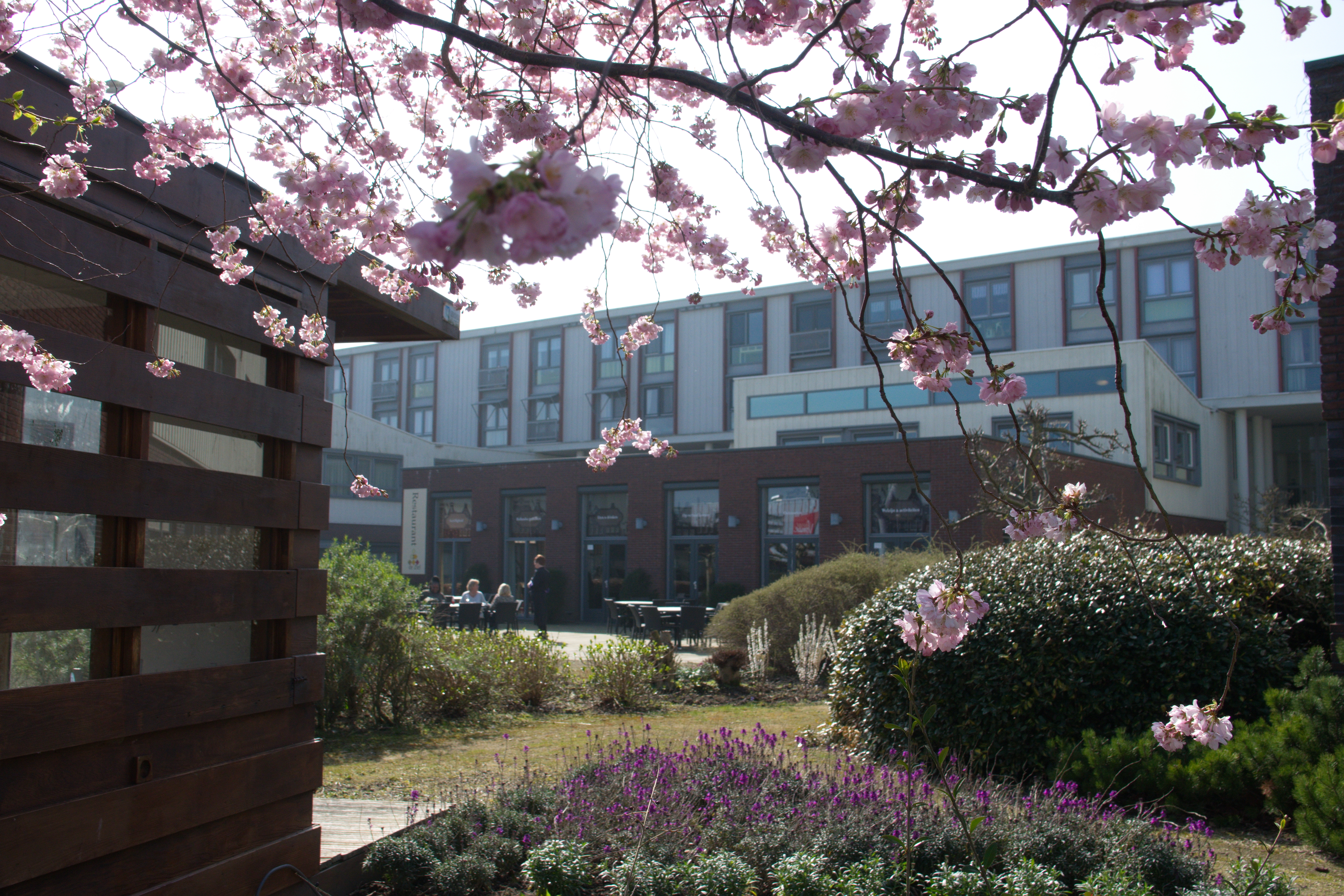 Café-restaurant De Ziel, terras