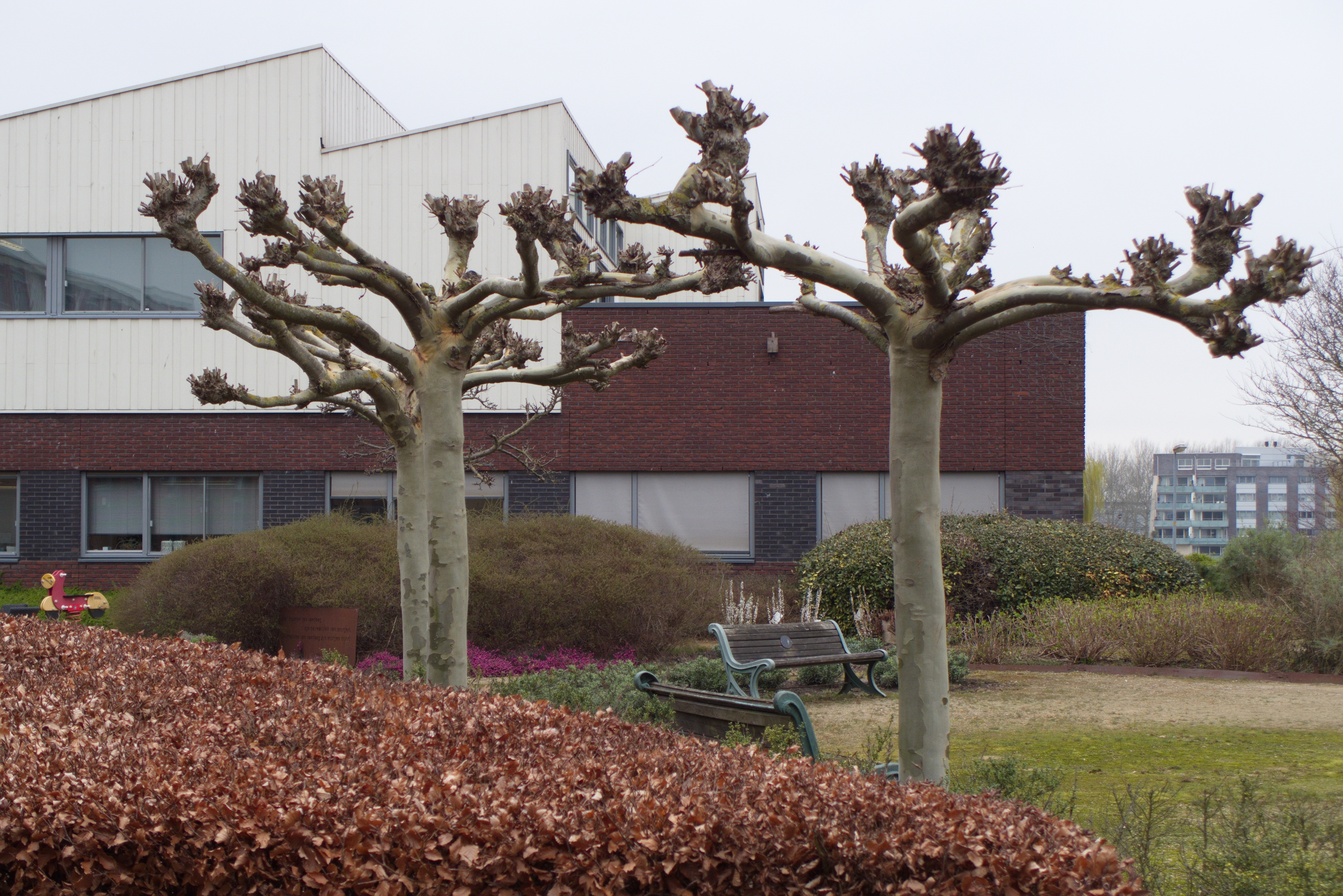 Café-restaurant De Ziel, tuin