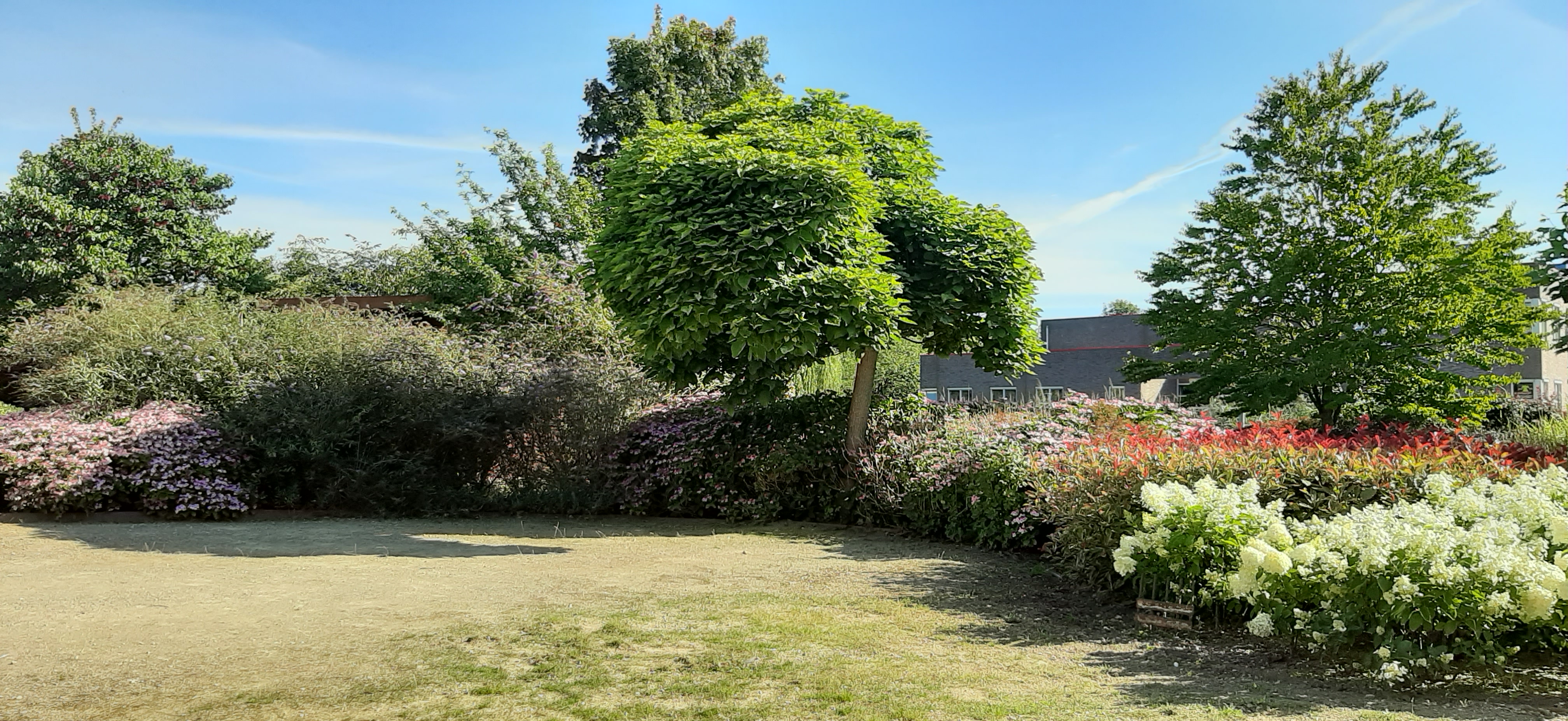 Café-restaurant De Ziel, Almere, foto, terras, tuin