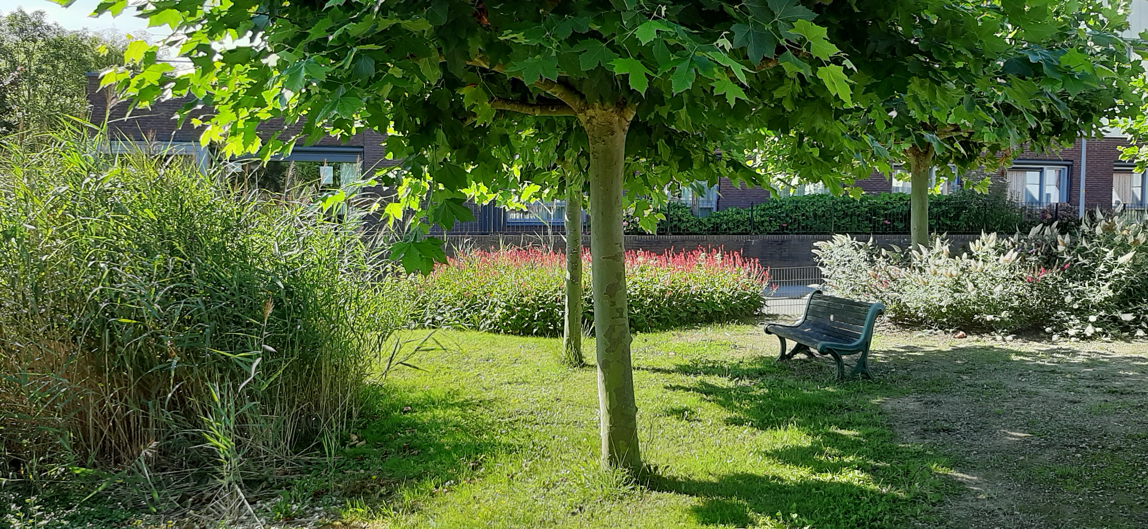 Café-restaurant De Ziel, Almere, foto, terras, tuin