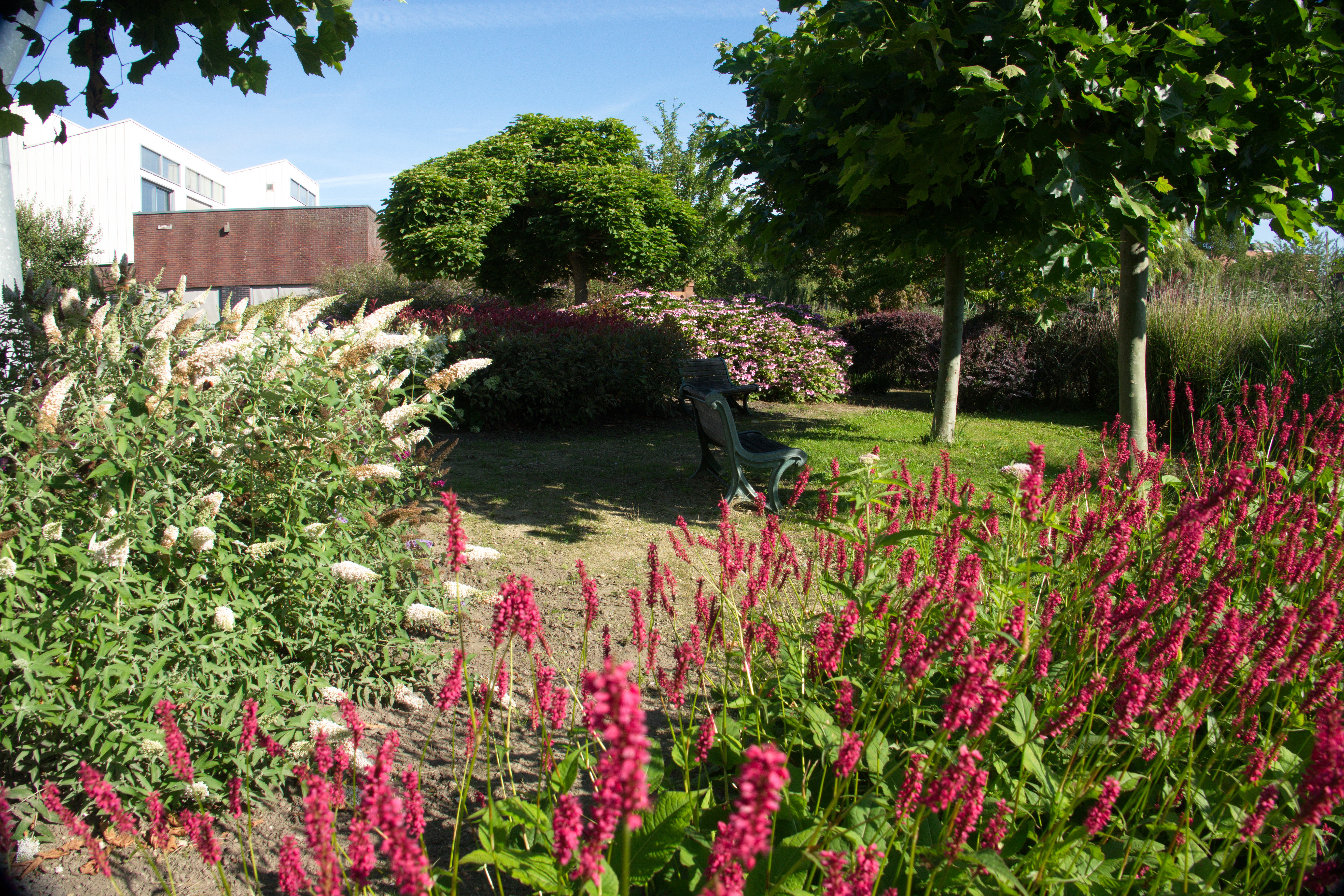 Café-restaurant De Ziel, Almere, foto, terras, tuin