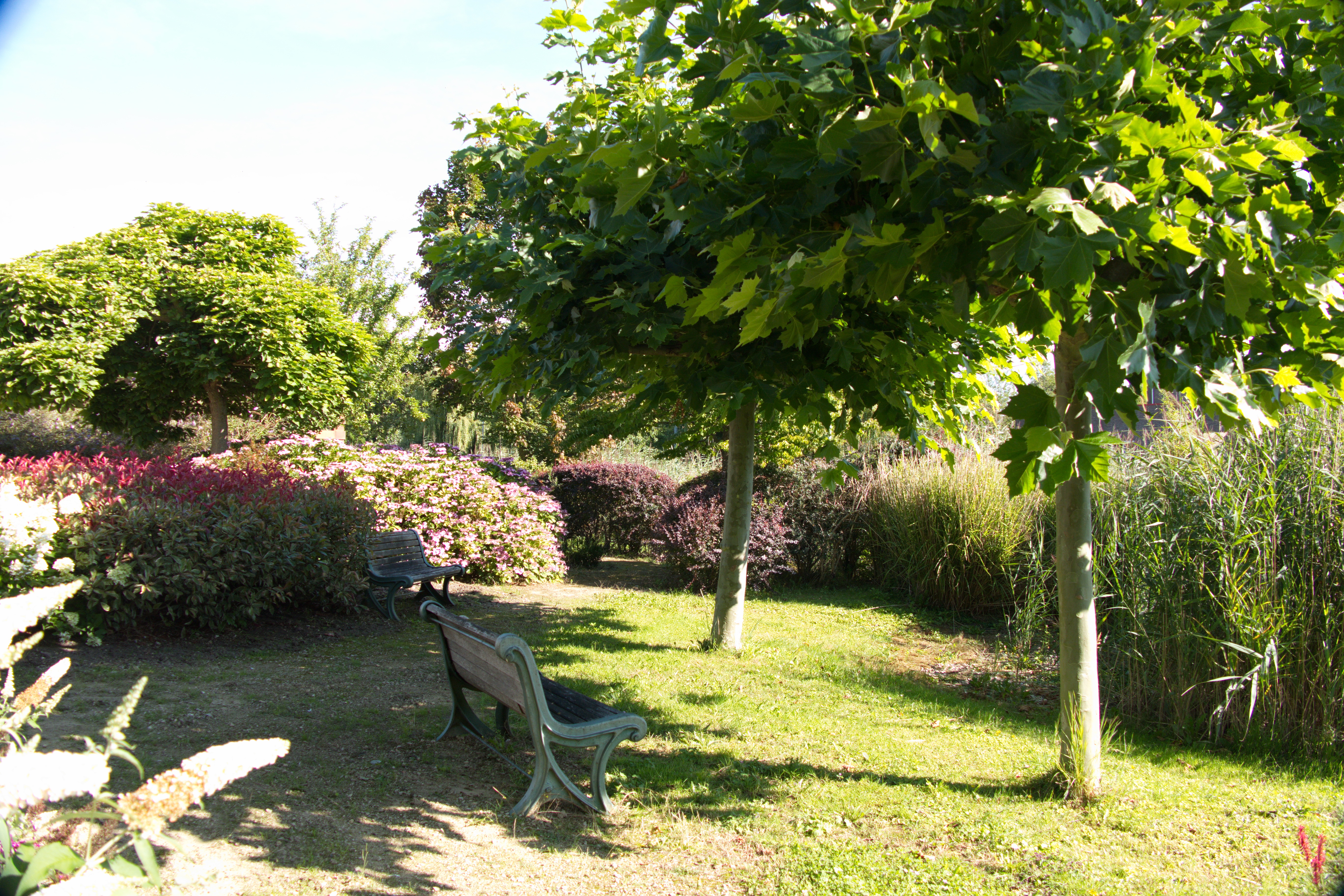 Café-restaurant De Ziel, Almere, foto, terras, tuin
